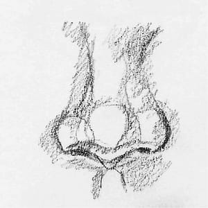 Dessiner le nez 3